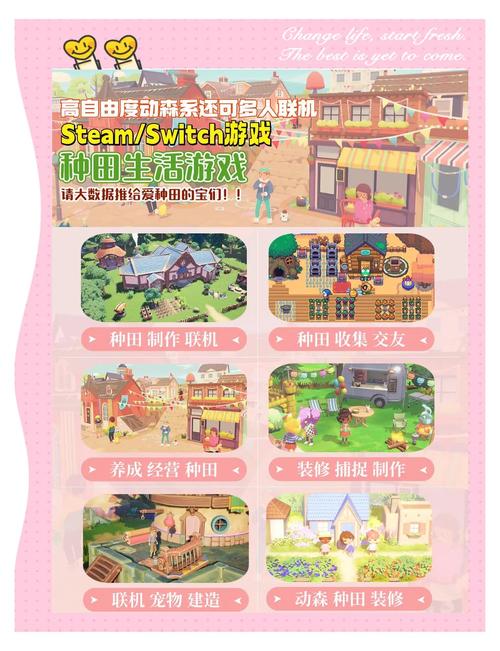 弟弟爱玩的游戏：模拟乡下生活的乐趣！