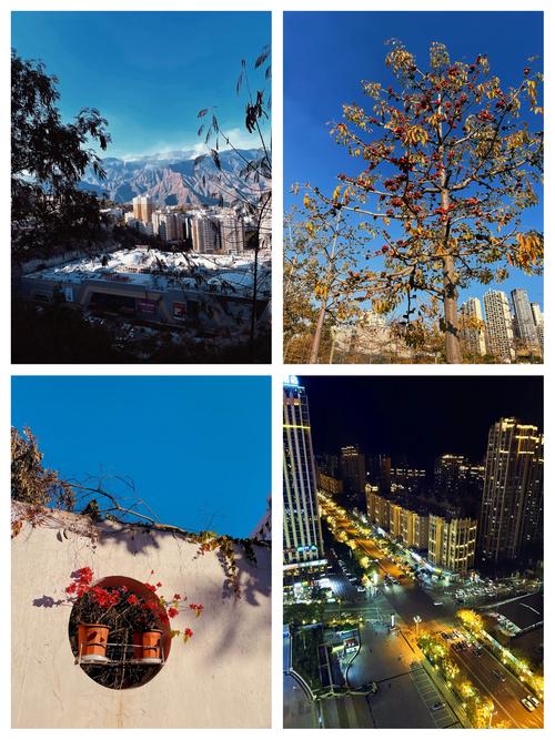 阳光下的真实版本大全：哪个版本最好玩？