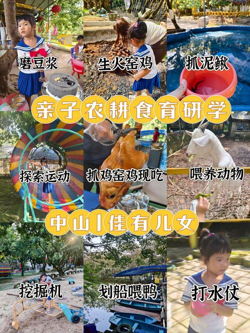 乡村生活的快乐暑假游戏攻略：轻松畅玩秘籍大公开