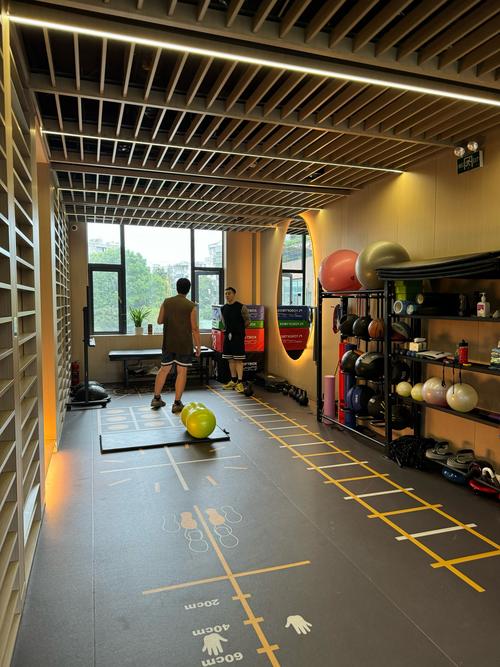 体验禁欲健身中心最新版本：打造你的健康体魄