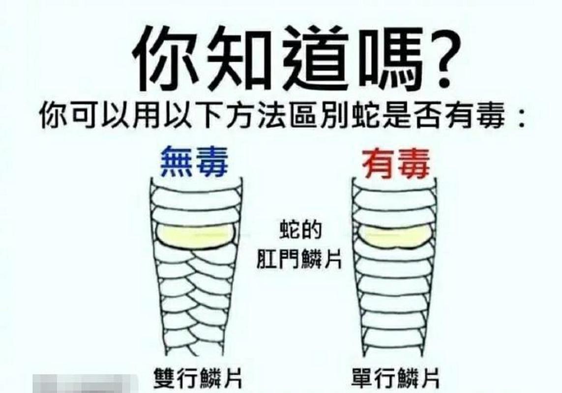 想了解女学生鉴别学汉化版更新？这里有最新消息