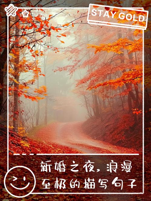 分享新婚之夜:迷人故事,揭秘婚后浪漫瞬间