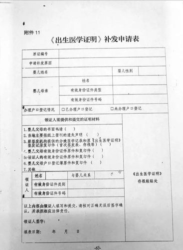 不同版本出生证明详解:快速掌握填写技巧