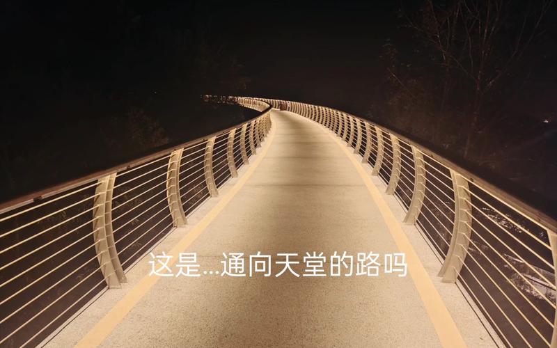 通往天堂的道路更新地址:高清游戏资源免费获取
