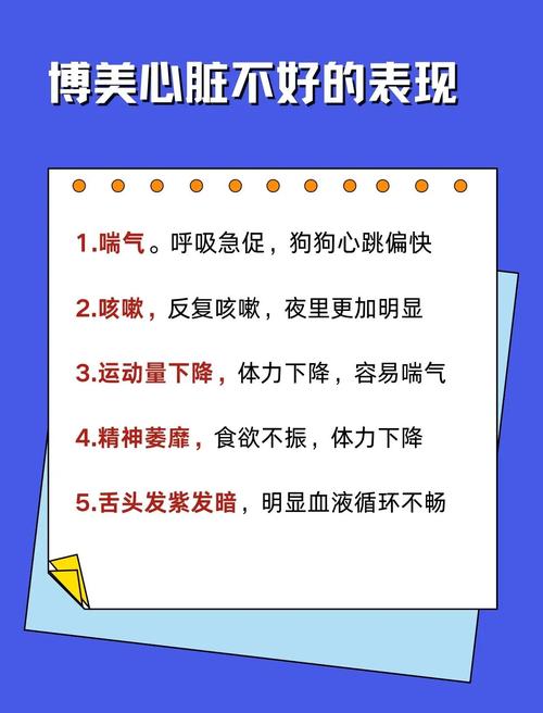 心脏问题最新版本是多少？权威解读心脏健康管理新方法