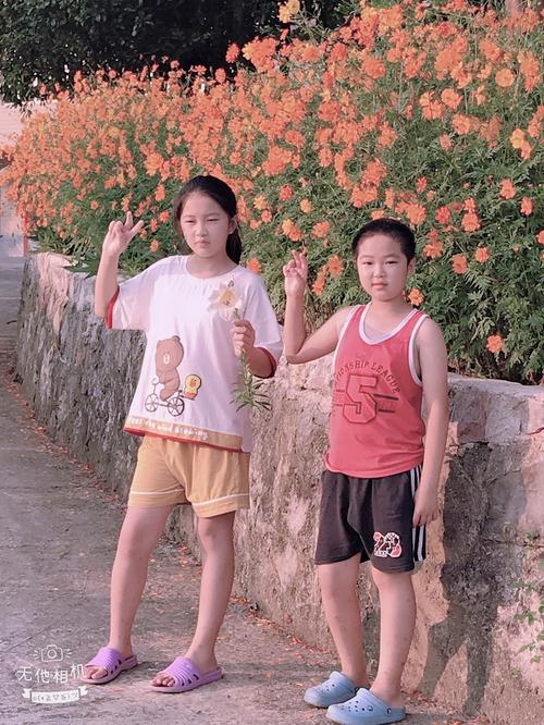 急寻我的秘密暑假时光2下载地址？这里有你想要的！