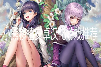 最新乱斗少女V1.04汉化版下载，快来体验吧