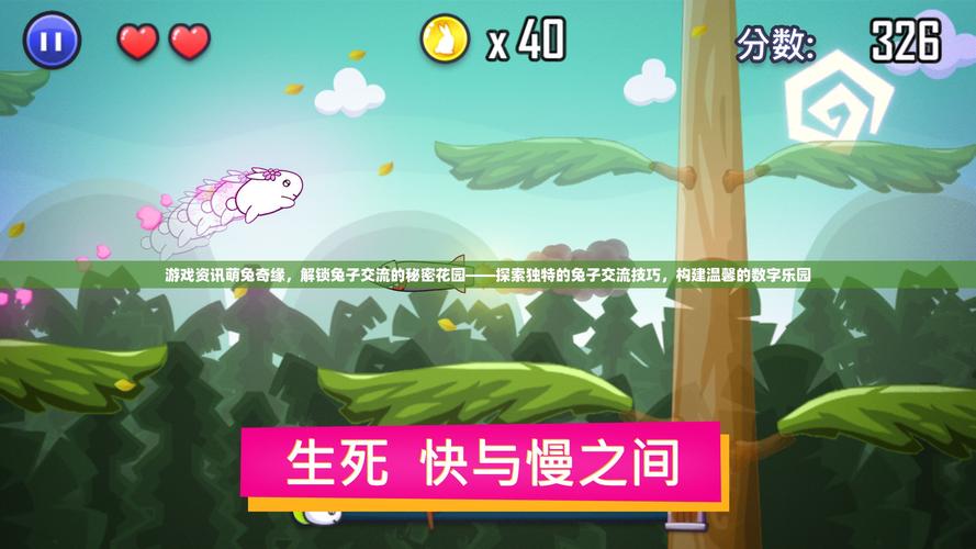 兔兔秘密花园游戏攻略:新手入门及进阶玩法指南