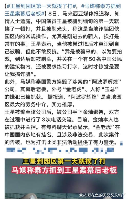 族长最新动态:筑基丹分配引发的家族风波