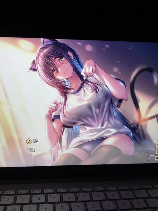 如何玩转甜蜜女友2绅士游戏？新手玩家必看教程！