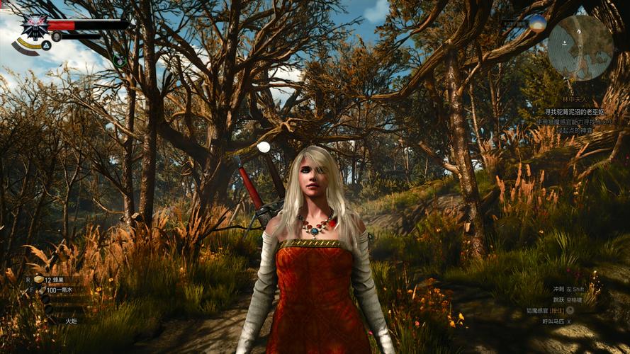 女巫3:回归下载安卓版,重温奇幻冒险之旅