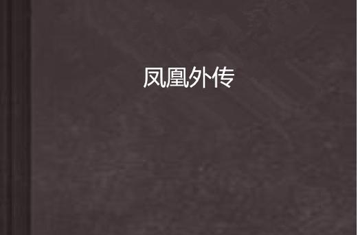 凤凰V11外传Wet汉化版下载及最新更新内容