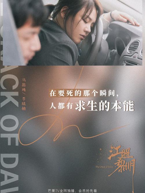 在救赎与深渊之间：内有海阁版本大全下载