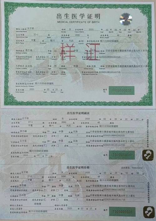 如何查询出生证明的最新版本？关于出生证明第七版的全部信息