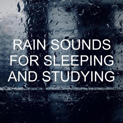 Rainnight雨版本大全:最全资源分享,助你轻松入睡