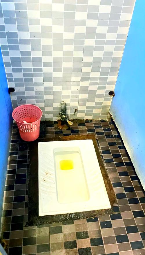 夏日小公园的厕所:桃子汉化官方网站详解