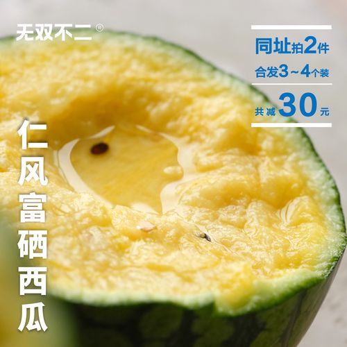 怀孕无双汉化版2.0下载:完整更新内容及游戏体验