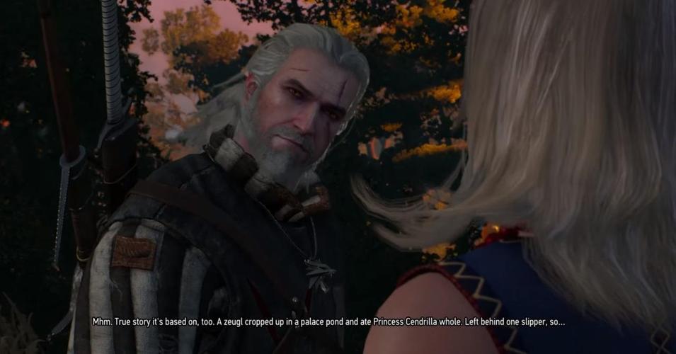 巫师的悖论游戏攻略:隐藏要素及彩蛋收集