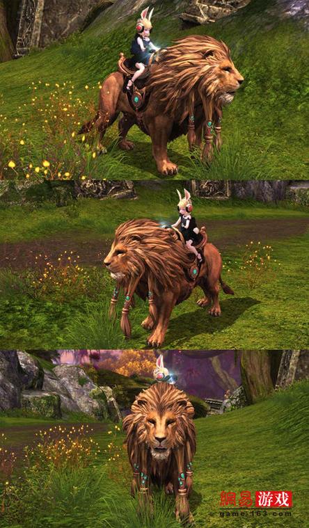 史上最轻松的野猫杨过游戏?休闲玩家福音