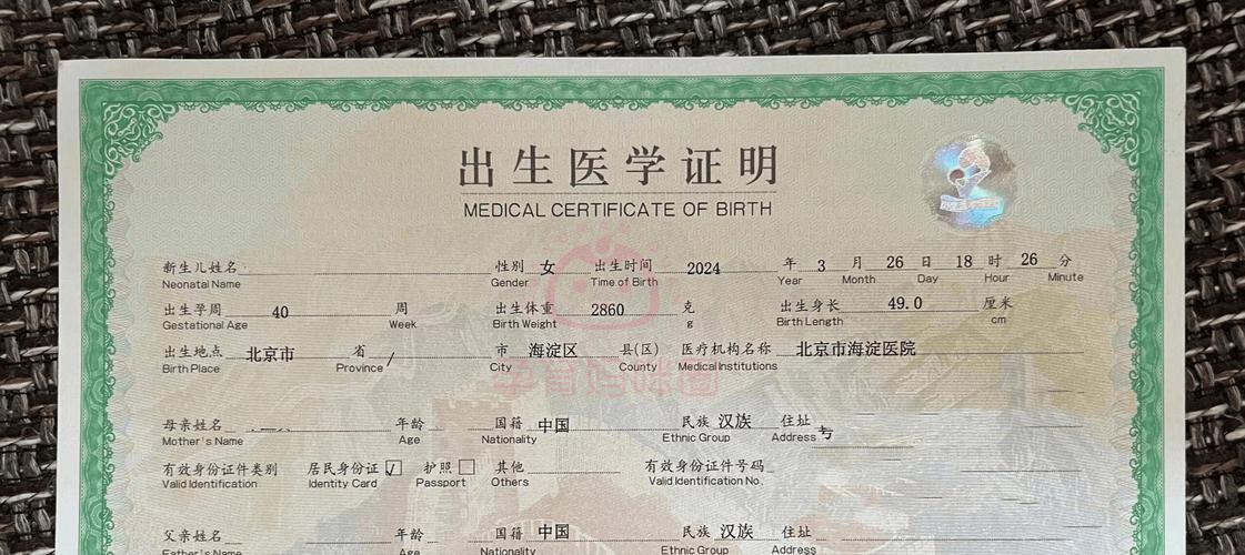 不同版本出生证明详解:快速掌握填写技巧