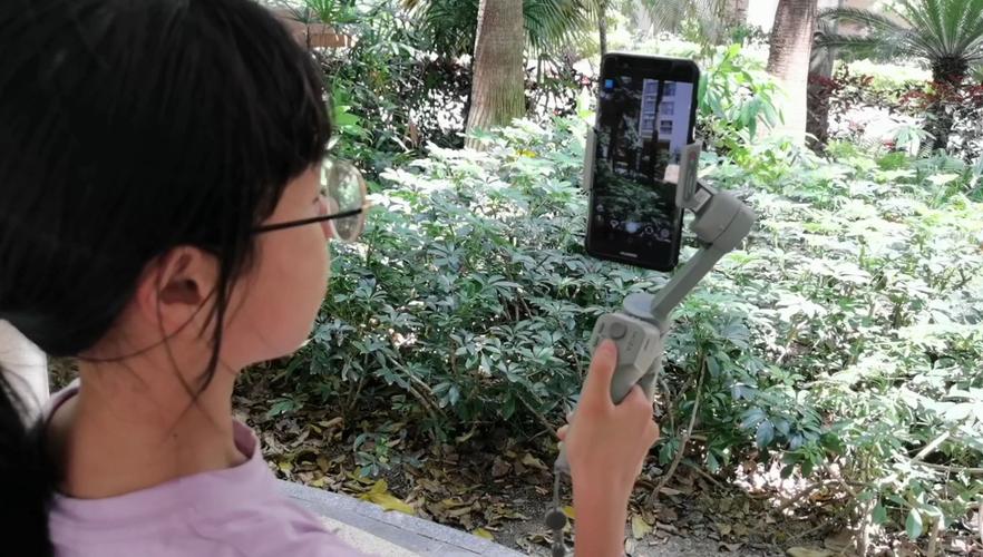 如何下载妹相随黑白版？小白也能轻松上手