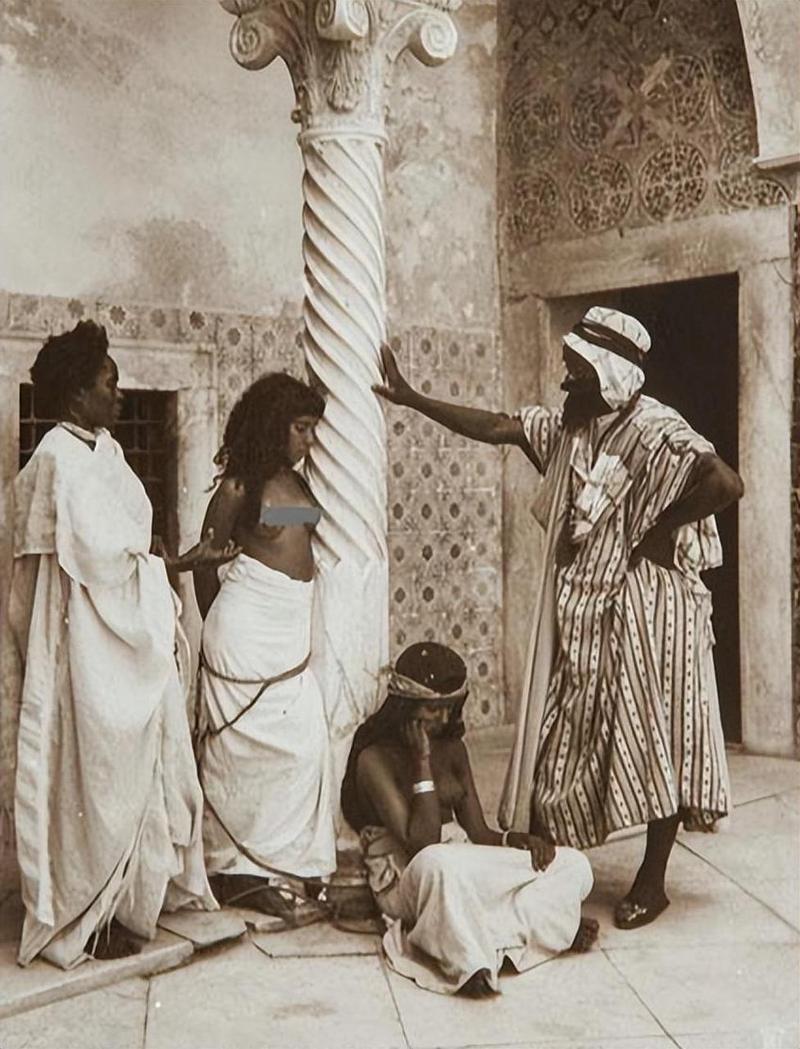 想看罗马的奴隶？这里有最新更新地址！