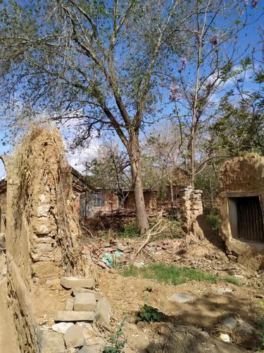 你还在找肉壺村?这里提供最新可用地址