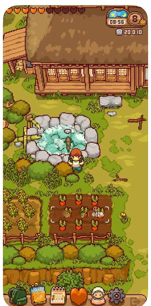 弟弟爱玩的游戏：模拟乡下生活的乐趣！