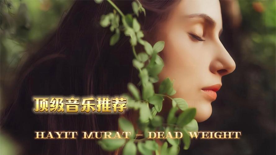 颠覆下载地址:免费获取高品质无损音乐