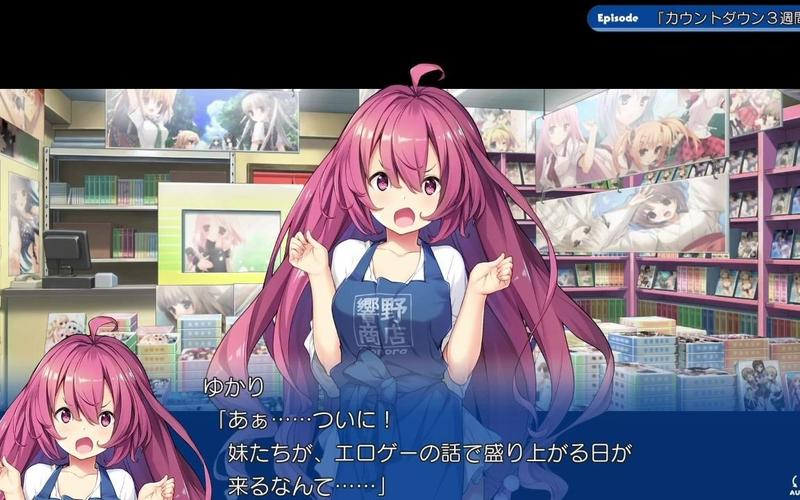 响野家的商店版本大全:你想要的都在这里!