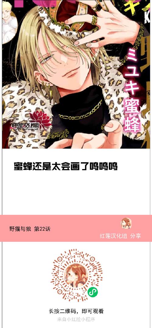 野猫更新地址大全,让你轻松找到下载资源