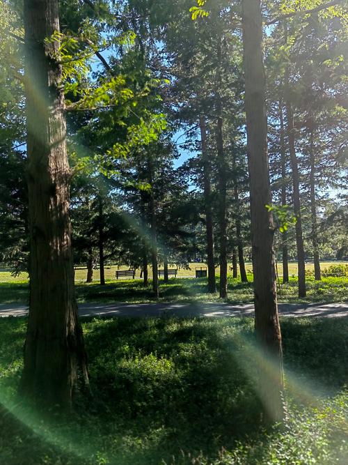 阳光下的真实版本大全：哪个版本最好玩？