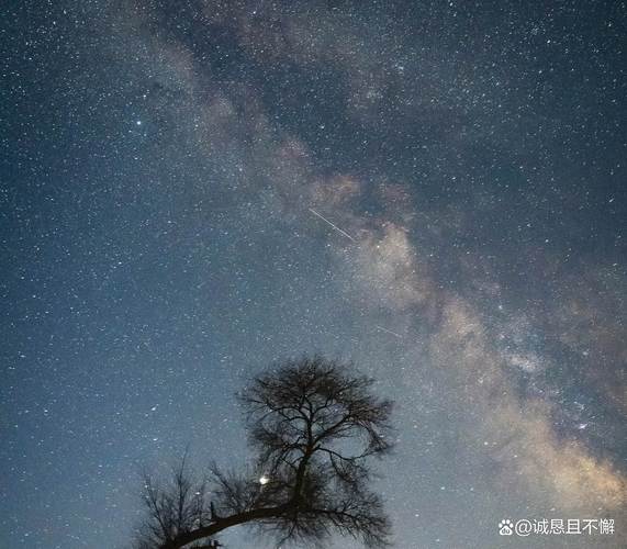 寻找东区V0.5.2下载地址？这里有你想要的资源