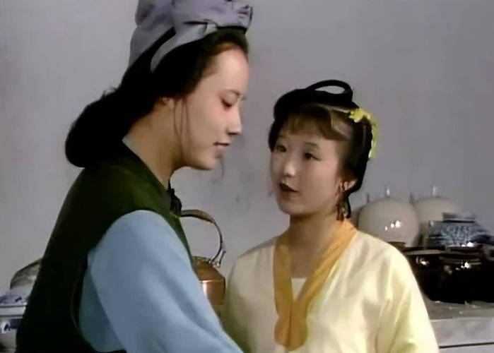 想玩做怡红院的主人安卓版？这里有你想要的