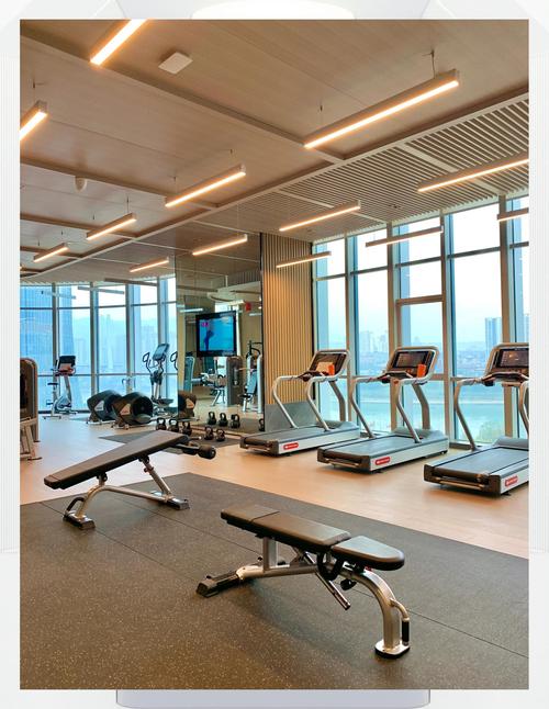 体验禁欲健身中心最新版本：打造你的健康体魄