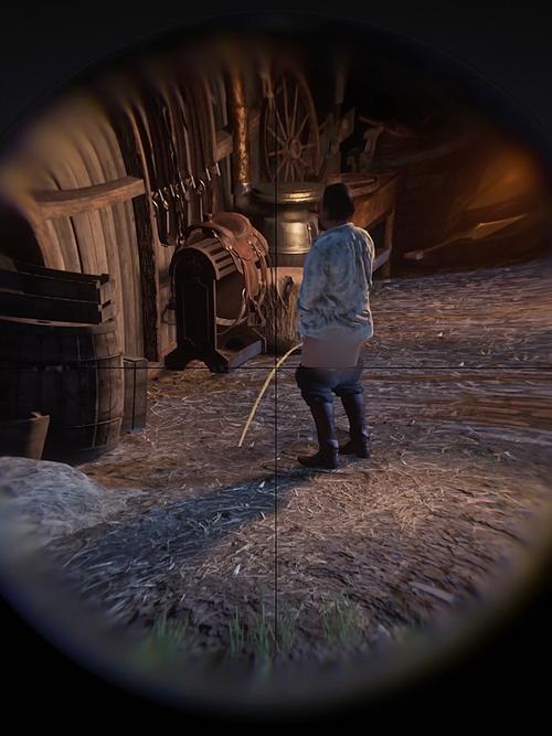 荒野大嫖客2 MOD：PC玩家必备的趣味MOD大全