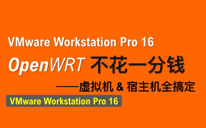 新婚妻子梅古官网攻略：快速上手，玩转虚拟婚恋世界