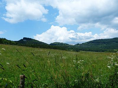 青青草原游戏官网：下载安装，开始你的草原之旅！