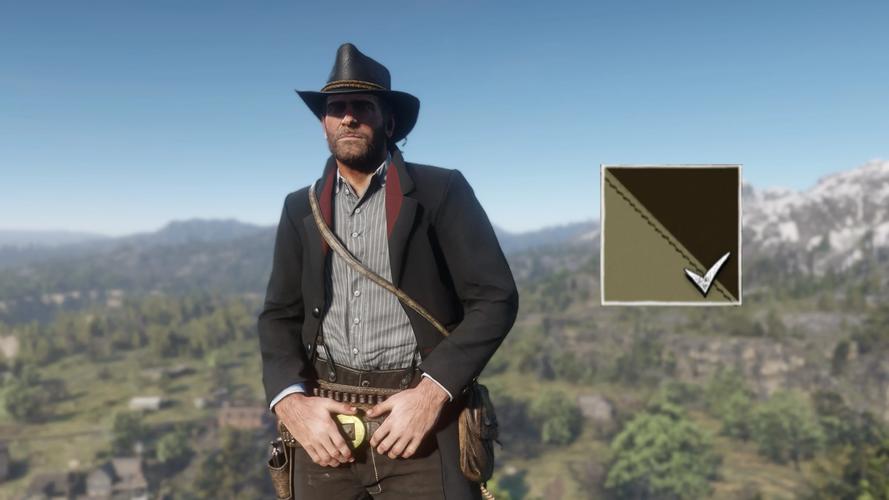 荒野大嫖客2 MOD：PC玩家必备的趣味MOD大全