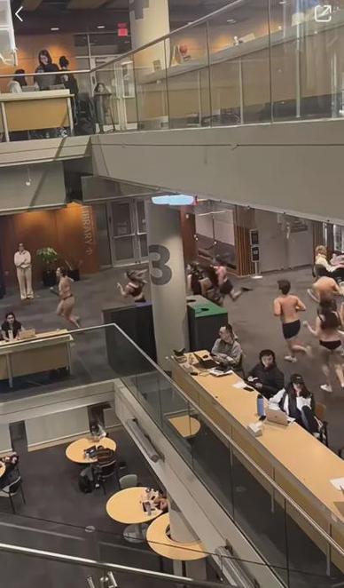 裸体学院裸体学校版本大全：那些你不知道的学校秘密