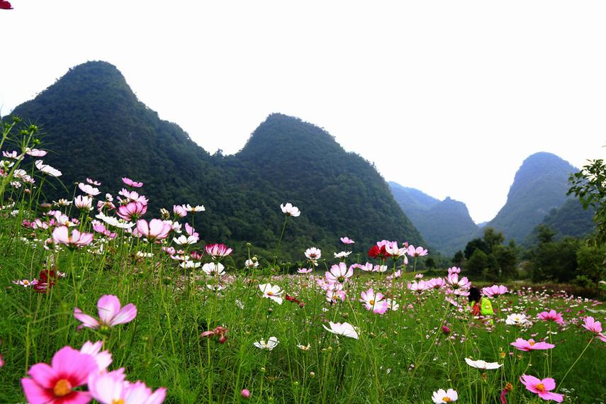 急寻小绿山更新地址,高清完整版下载教程