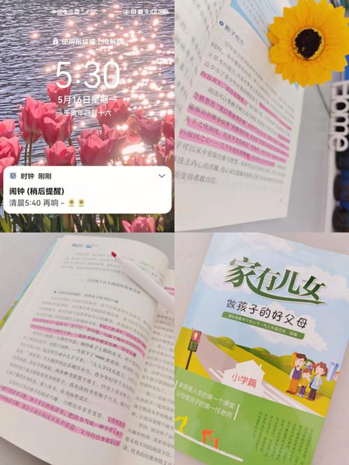 手机看家有儿女2完结版?安卓系统轻松搞定!