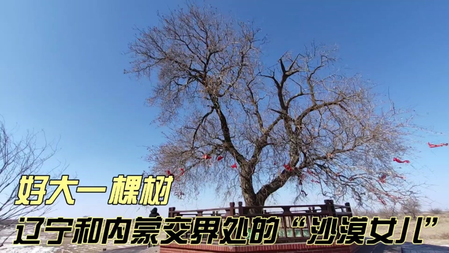 沙漠追猎者更新地址在哪?最新版本下载方法分享