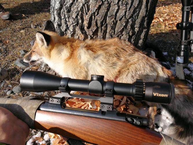 淫魂狩猎游戏官网:探索未知世界,体验刺激的淫魂狩猎