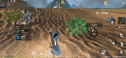 小绿山内有海阁游戏最新版本号是多少？玩家都在玩哪个版本？