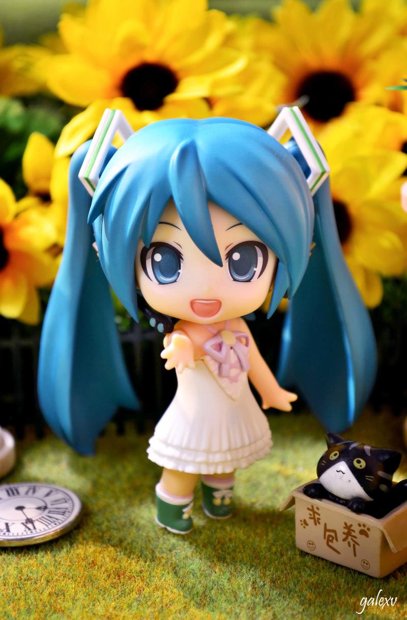 还在找桌面手办下载资源?这里有你想要的答案