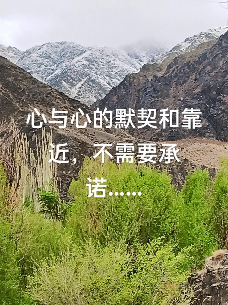 一个最好不要兑现的承诺安卓下载安全吗？