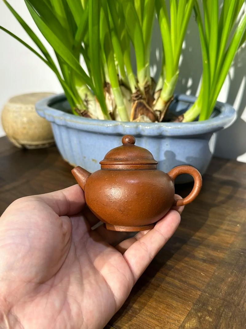 盘点那些年玩过的肉壺村杨过游戏，回忆满满