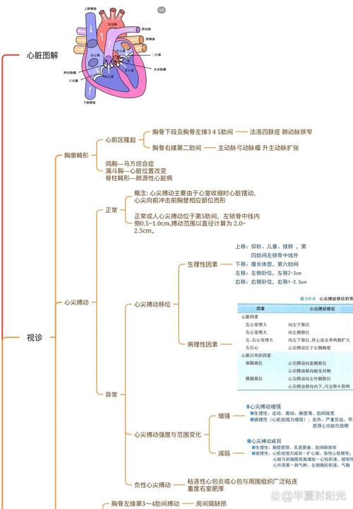 心脏问题大揭秘：从症状到诊断，一次性搞懂
