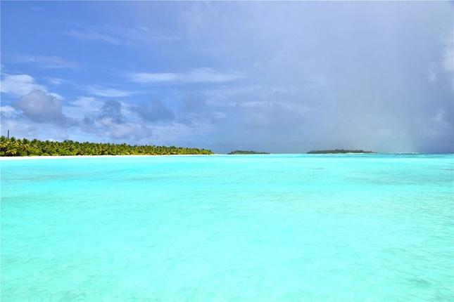 快来看！雨季汉化版最新更新内容详解